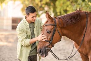 Man pets and bonds with horse in equine therapy program